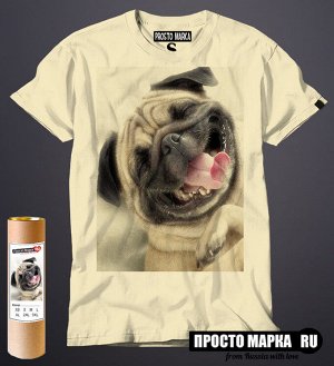 Мужская футболка прикольная собака