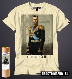 Мужская футболка Николай 2