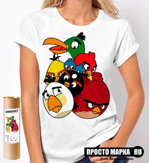 Женская футболка Angry Birds band