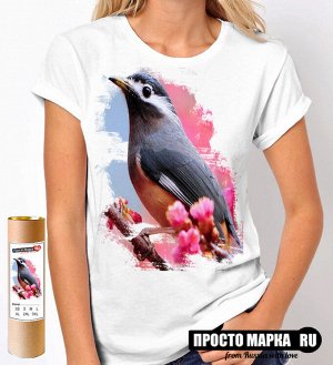 Женская футболка с Птицей