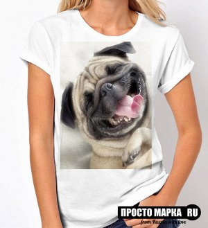 Женская футболка прикольная собака