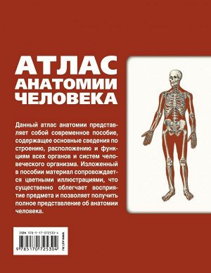 Лёвкин С.С. Атлас анатомии человека
