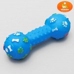 Игрушка пищащая &quot;Гантель 100 kg&quot;, 17,5 см, микс цветов