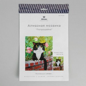 Алмазная мозаика «Попрошайка» 20 * 27 см, 26 цветов