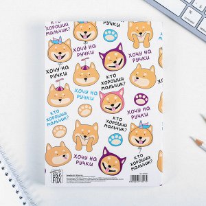 Смешбук «Хочу на ручки», А5,180 л.