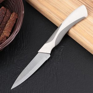 Нож кухонный «Мезури», лезвие 9,5 см, цвет МИКС 4474176