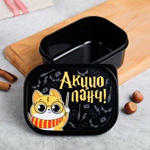 Дорого внимание Ланч-бокс «Акцио ланч», 0.5 л