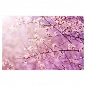 Интерьерная наклейка "Цветущая сакура" 60х90 см