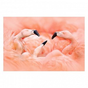 Интерьерная наклейка "Фламинго" 60х90 см