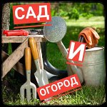 Сад и огород