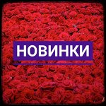 Новинки