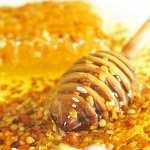 Лазовский мёд. Пьем иван-чай с мёдом-укрепляем здоровье -72
