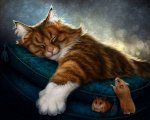 Кошкин дом🐱