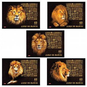 Альбом для рисования, А4, 40 листов, скоба, 3D-фольга и матовая ламинация, HATBER, 205х290 мм, "King Lion", 40А4лофВ, A261712