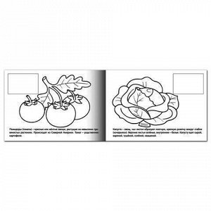 Книжка-раскраска А5, 4 л., HATBER с наклейками, Мои первые уроки, "Овощи", 4Р5н 05827, R133163