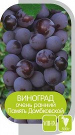 Виноград Память Домбковской/Сем Алт/1шт. в коробке