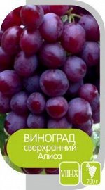 Виноград Алиса/Сем Алт/1шт. в коробке
