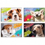 Альбом для рисования 40л., А4, на гребне BG &quot;Dog life&quot;, эконом