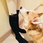 Детские демисезонные колготки из коллекции &quot;Космико&quot;