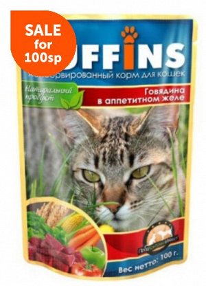 Puffins влажный корм для кошек Говядина в аппетитном желе 100гр пауч