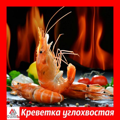 Чёрная Пятница! 🦐Морепродукты