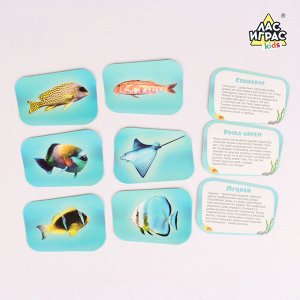 Настольная игра-рыбалка «Рыбки красного моря », с магнитными удочками