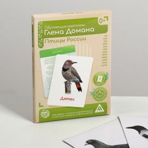 Обучающие карточки по методике Глена Домана «Птицы России», 12 карт, А6, в коробке