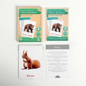 ЛАС ИГРАС Обучающие карточки по методике Глена Домана «Дикие животные», 12 карт, А6, в коробке