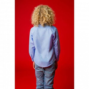 Рубашка детская Jerrold Цвет: Голубой. Производитель: MINAKU