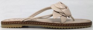 Шлепки Страна производитель: Китай
Размер женской обуви x: 36
Полнота обуви: Тип «F» или «Fx»
Вид обуви: Сланцы
Материал верха: Натуральная кожа
Стиль: Городской
Цвет: Бежевый
Каблук/Подошва: Плоская 