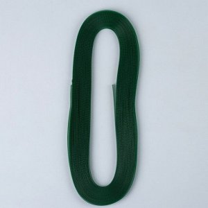 Регилин плоский, 10 мм, 45 ± 1 м, цвет зелёный