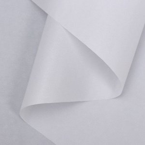 Бумага тишью водоотталкивающая, белая, 58 см x 5 м 19 микрон
