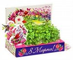 Подарочный набор Живая открытка Букет тюльпанов