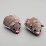 Мышь вибрирующая, серая