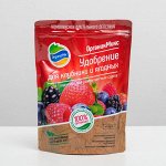ОрганикМикс Удобрение для клубники и ягодных 800г