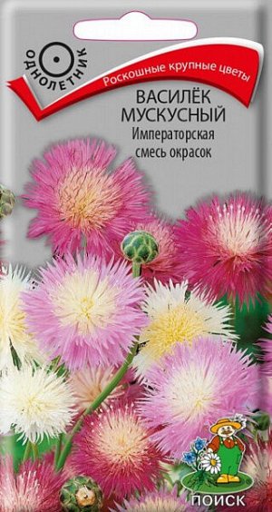 Василек мускусный Императорская смесь окрасок