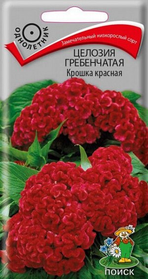 Целозия Гребенчатая Крошка красная