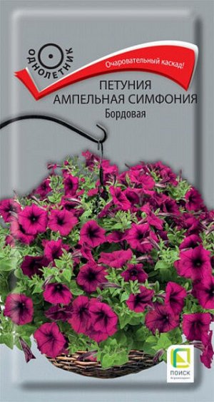 Петуния ампельная Симфония Бордовая