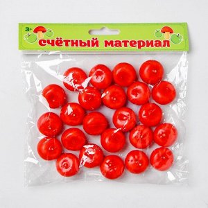 Счётный набор "Мандарины", 24 шт., мандарин 2,5 ? 2,5 см