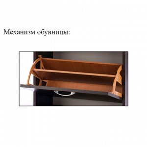 Обувница в прихожую «ЯПТ-2 Ямайка», 6 ящиков, 700x271x1026 мм, цвет ясень шимо тёмный/дуб сонома