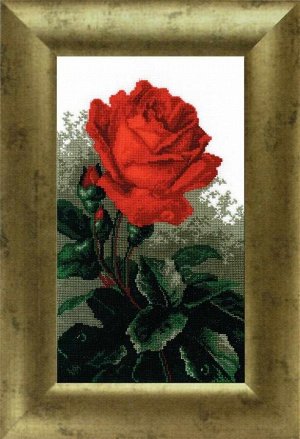442 "Роза красная"