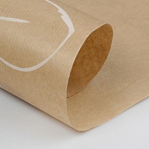 Бумага упаковочная крафт "Анемоны", 0,72 х 10 м, 40 гр/м2
