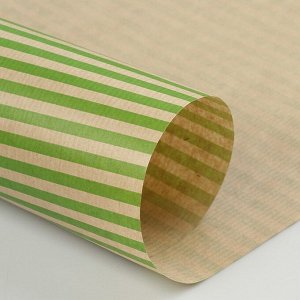 Бумага упаковочная крафт "Полосы светло-зелёные", 0,7 х 10 м, 40 г/м?