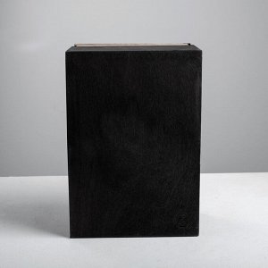 Ящик деревянный подарочный «Первому во всём», 20 ? 30 ? 12 см