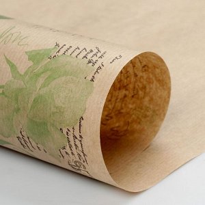 Бумага упаковочная крафт "Эстер светло-зеленый", 0,7 х 10 м, 40 г/м?