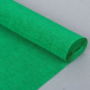 Бумага для упаковок и поделок, Cartotecnica Rossi, гофрированная, зеленая, однотонная, двусторонняя, рулон 1 шт., 0,5 х 2,5 м