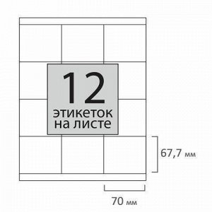 Этикетка самоклеящаяся 70х67,7 мм, 12 этикеток, 65 г/м2, 100 л., STAFF &quot;EVERYDAY&quot; (сырье Финляндия), 111838