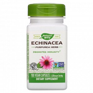 Nature&#x27 - s Way, Echinacea Purpurea Herb, 1,200 mg, 100 Vegan Capsules