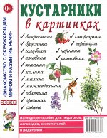 Кустарники в картинках.