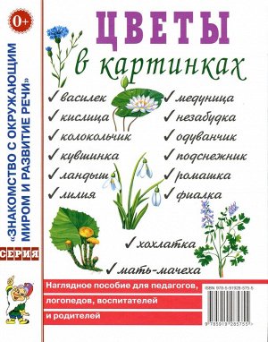 Цветы в картинках. Наглядное пособие для педагогов, воспитателей, логопедов, родителей. А4